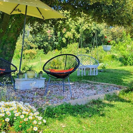 Agriturismo Podere Le Palaie Monterotondo  Luaran gambar