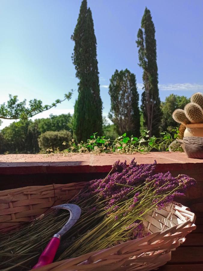 Agriturismo Podere Le Palaie Monterotondo  Luaran gambar
