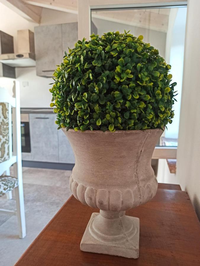 Agriturismo Podere Le Palaie Monterotondo  Luaran gambar