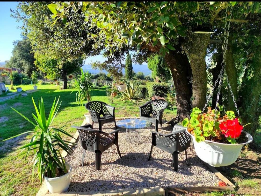 Agriturismo Podere Le Palaie Monterotondo  Luaran gambar