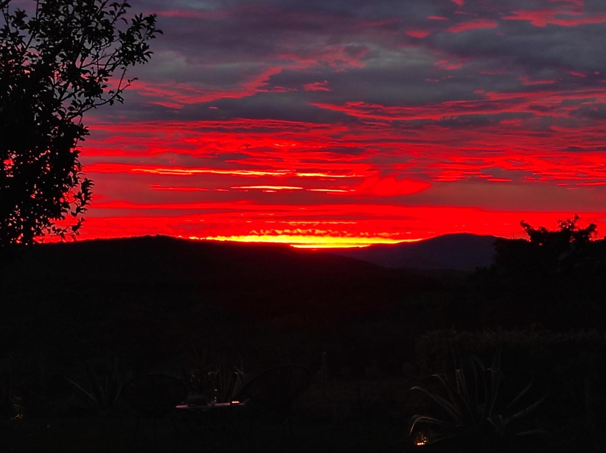 Agriturismo Podere Le Palaie Monterotondo  Bilik gambar