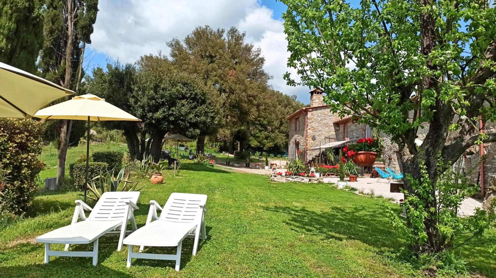 Agriturismo Podere Le Palaie Monterotondo  Bilik gambar