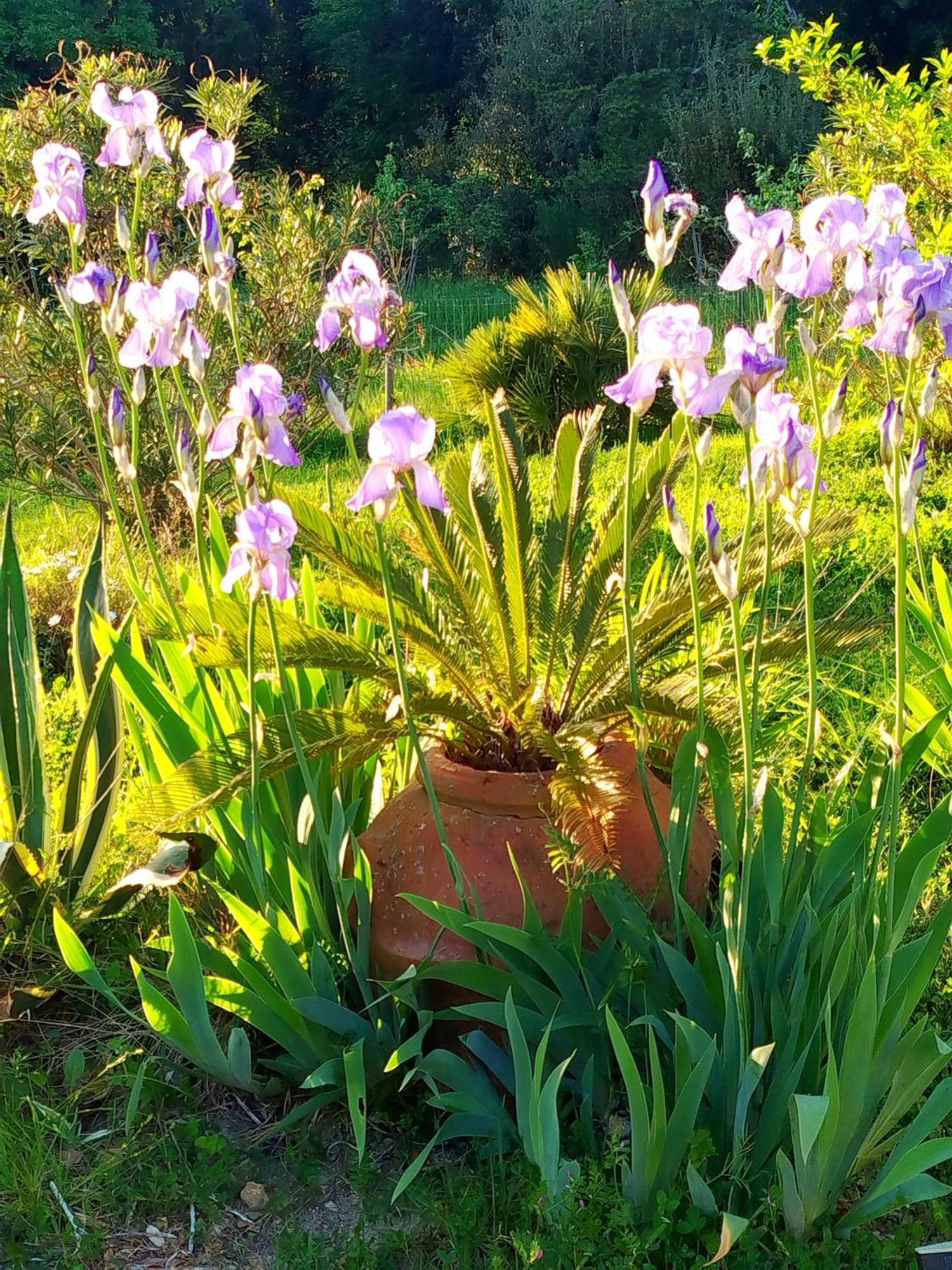 Agriturismo Podere Le Palaie Monterotondo  Luaran gambar